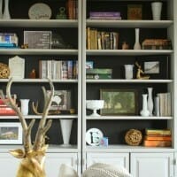 Black Backed Living Room Bookcases