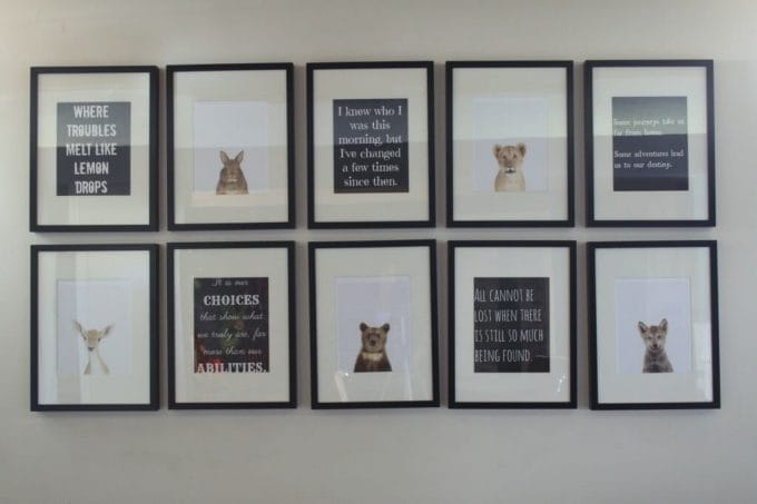 animal print shop and book quote gallery wall