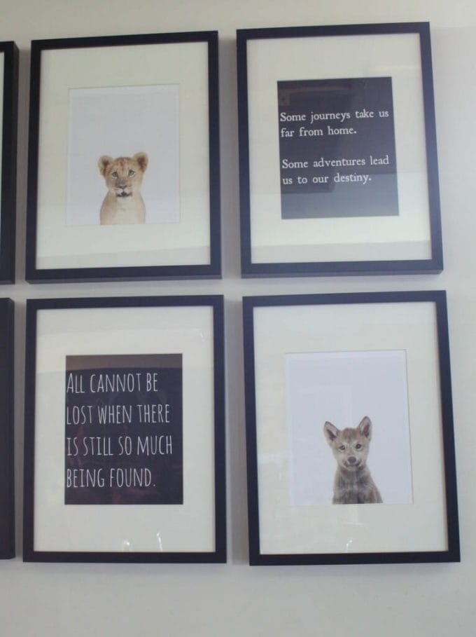 animal print shop and book quote gallery wall