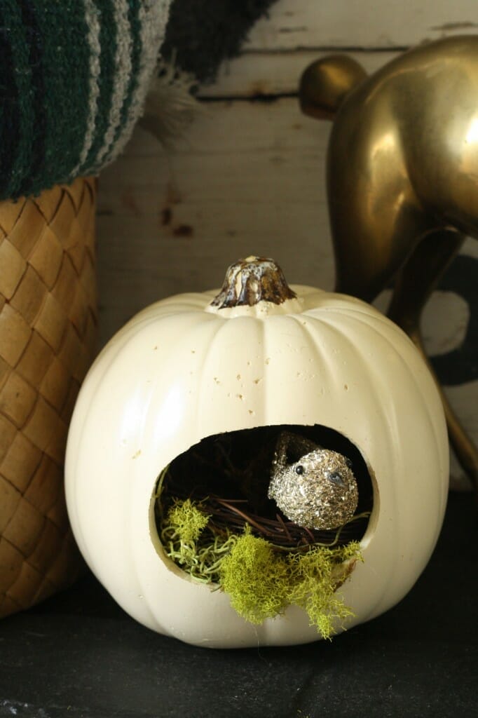 bird nest pumpkin #trickyourpumpkin