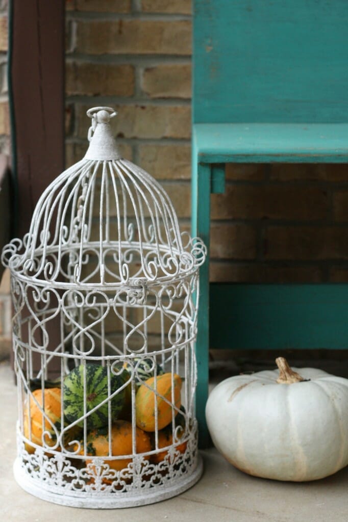 bird cage filled with gourds