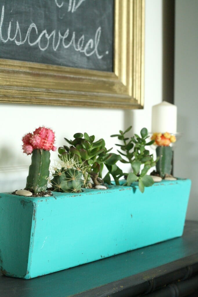 upcycled succulent and cacti planter