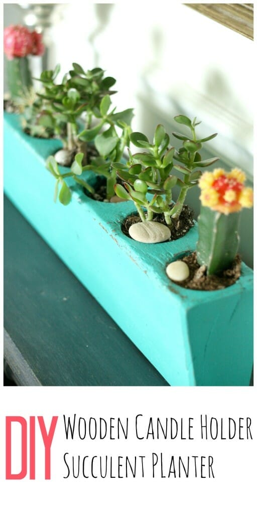 DIY succulent planter from wooden candle holder