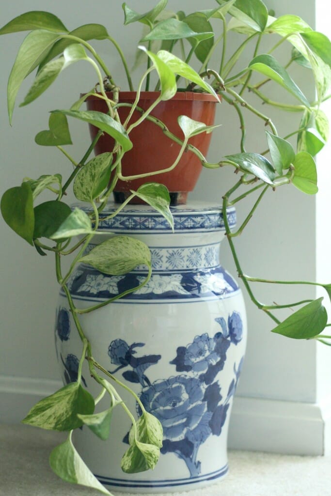 Blue and White porcelain plant pedestal