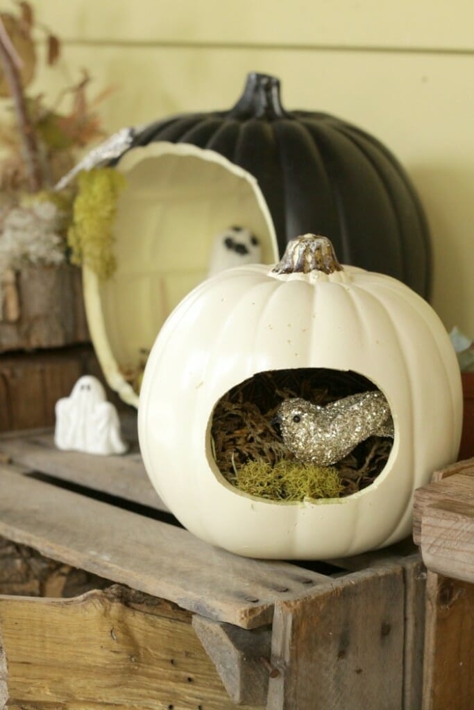 Halloween nest pumpkin
