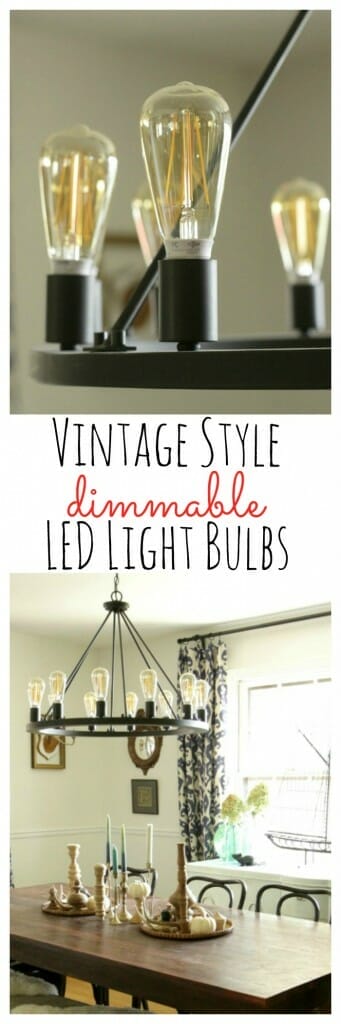Vintage Style Dimmable LED Light Bulbs