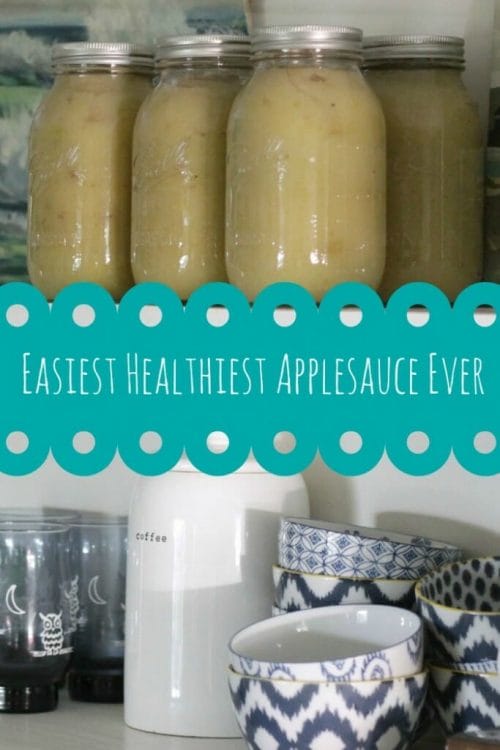 Easiest Healthiest Applesauce Ever
