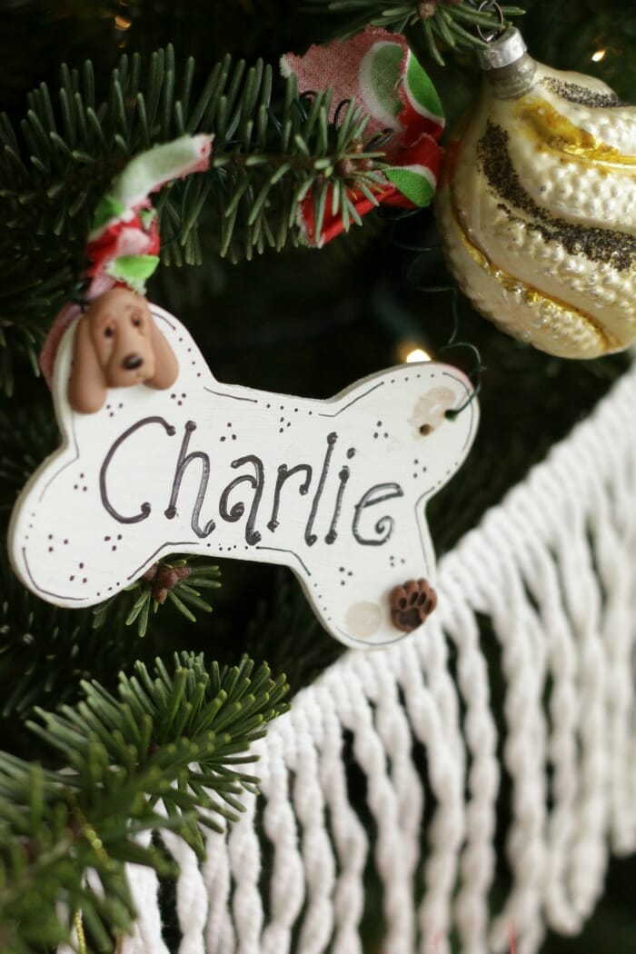Charlie's ornament