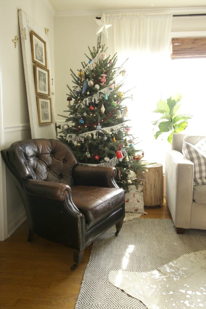 Living Room Chair and Tree