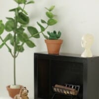 DIY Miniature Clay Cacti & Fiddle Leaf Fig