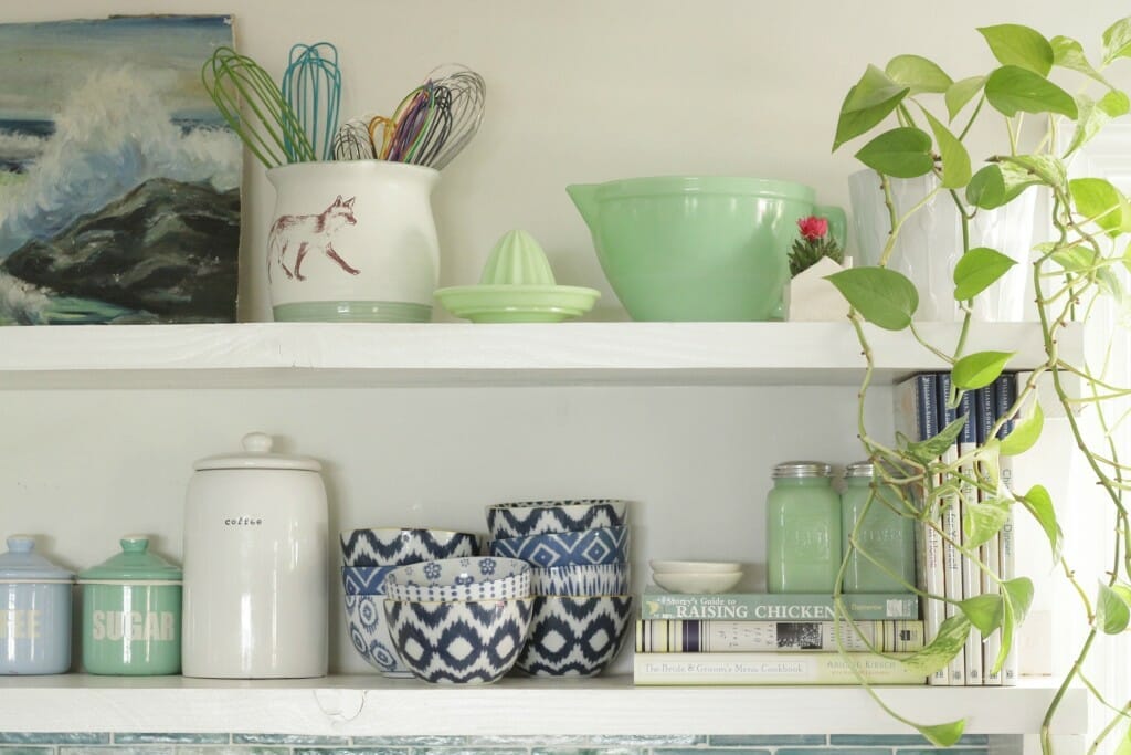 Pothos on kitchen shelf; blues and greens vintage and eclectic