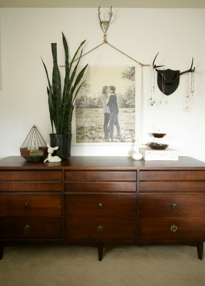 Midcentury Dresser with Antler Jewelry Display, Snake Plant- Bohemian