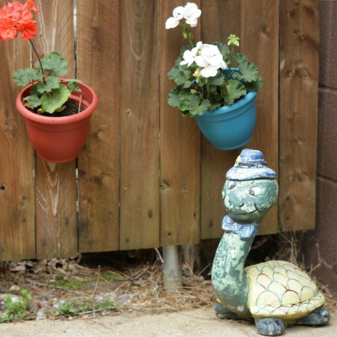 Vintage Garden Turtle