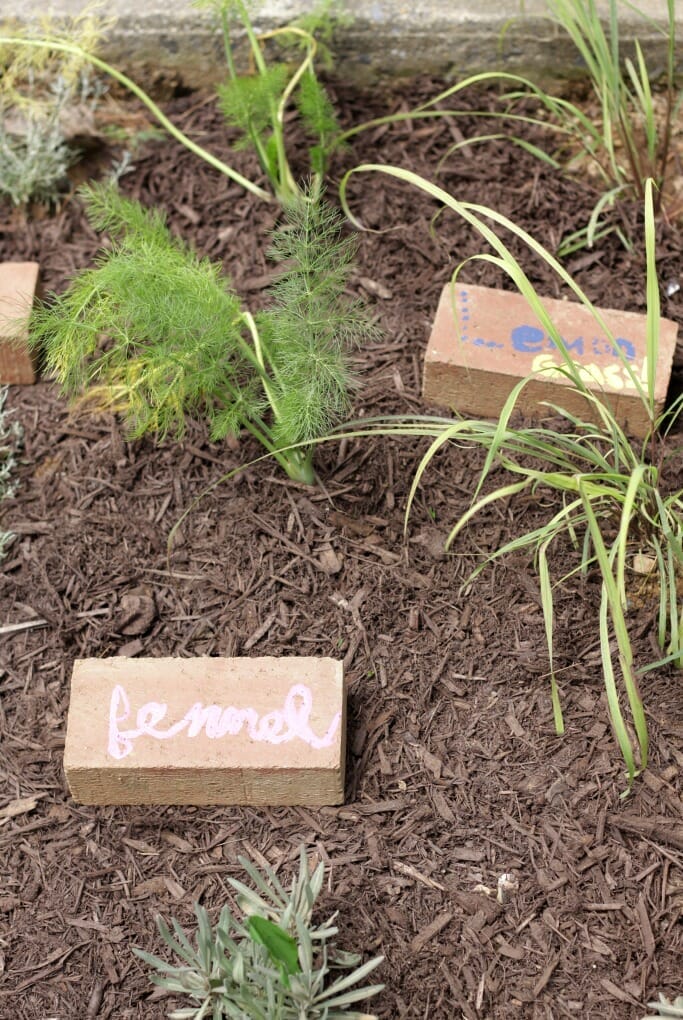 Upcycled Herb Garden Markers