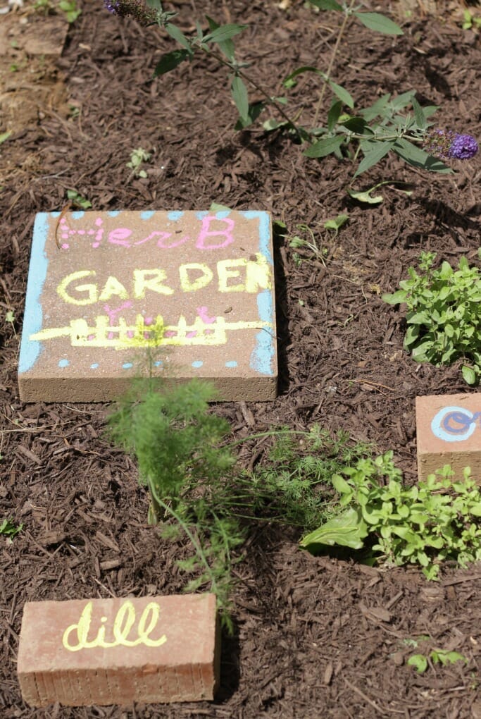 Emmy's Herb Garden Paver
