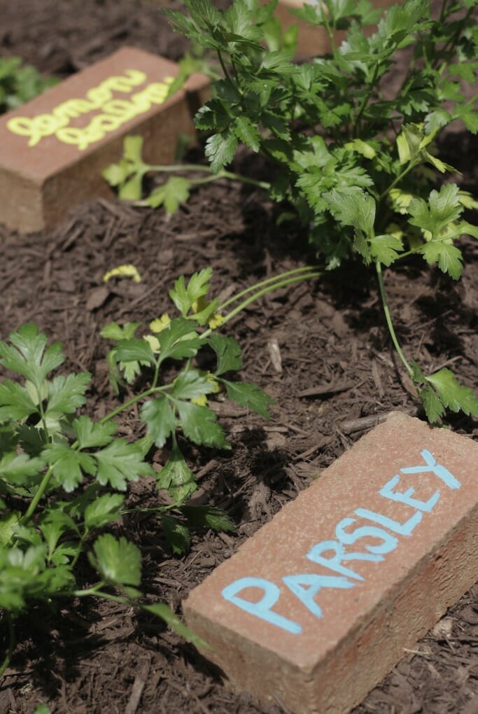 Upcycled Brick Herb Markers