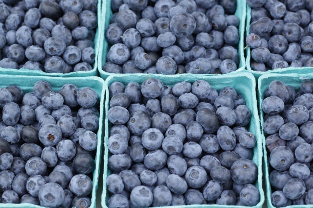 blueberries at swap