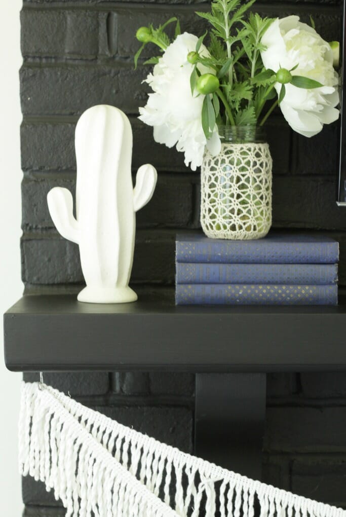 Cactus, Fringe, crocheted Vase, Vintage Books on Black Fireplace Mantle