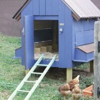Our Painted Chicken Coop featuring Clark & Kensington