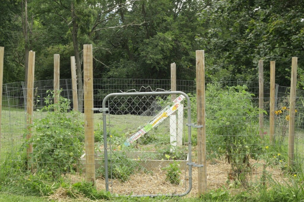 Fenced in Vegetable Garden