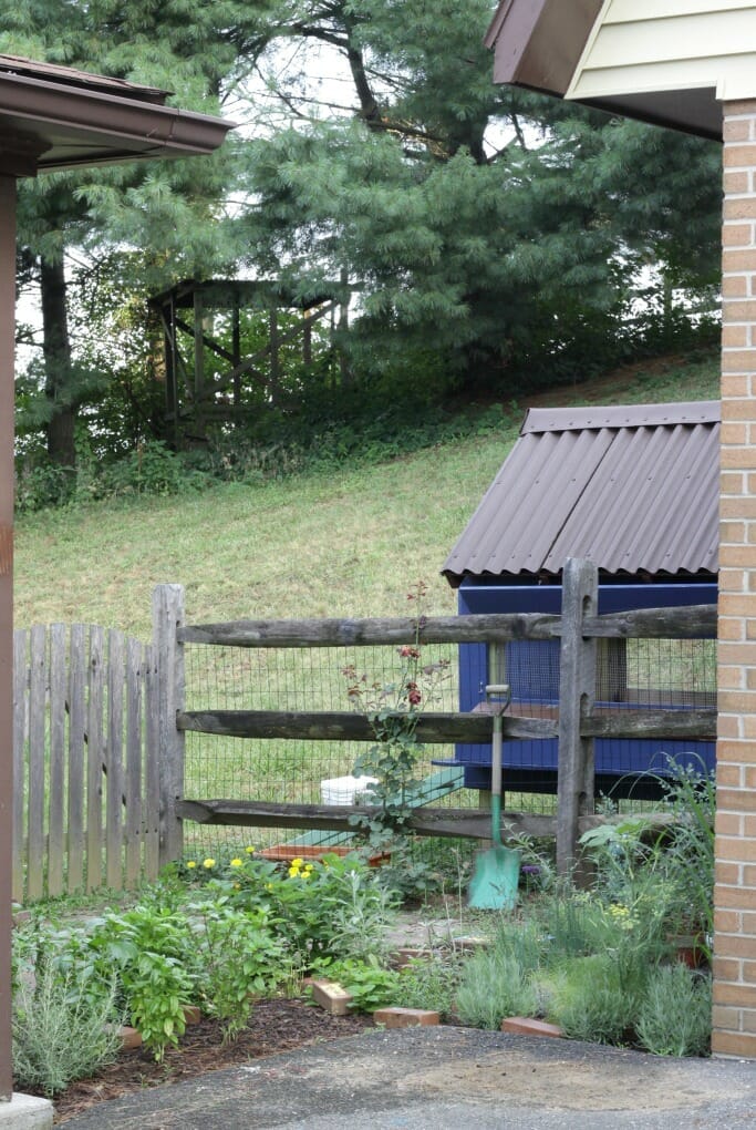 Chicken Coop behind herb garden