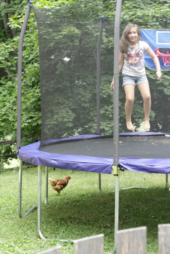 Emmy on the trampoline, chicken under it