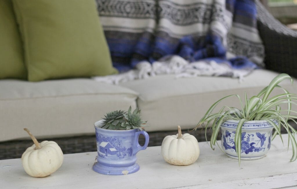 Blue and White Pumpkins