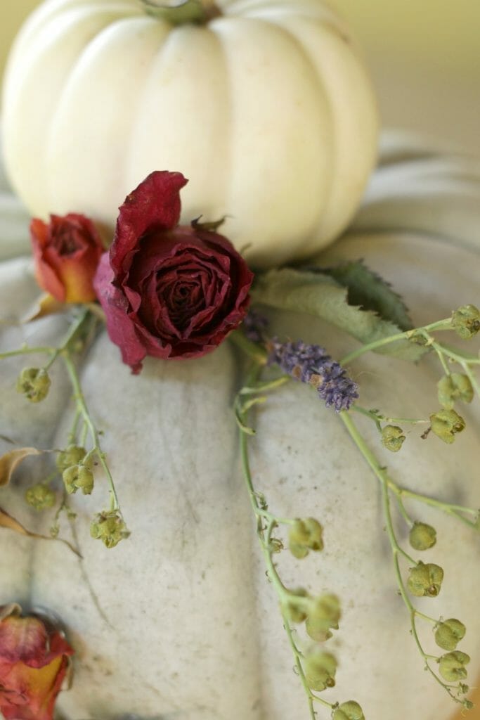 dried-roses-lavender-on-fall-pumpkin-centerpiece