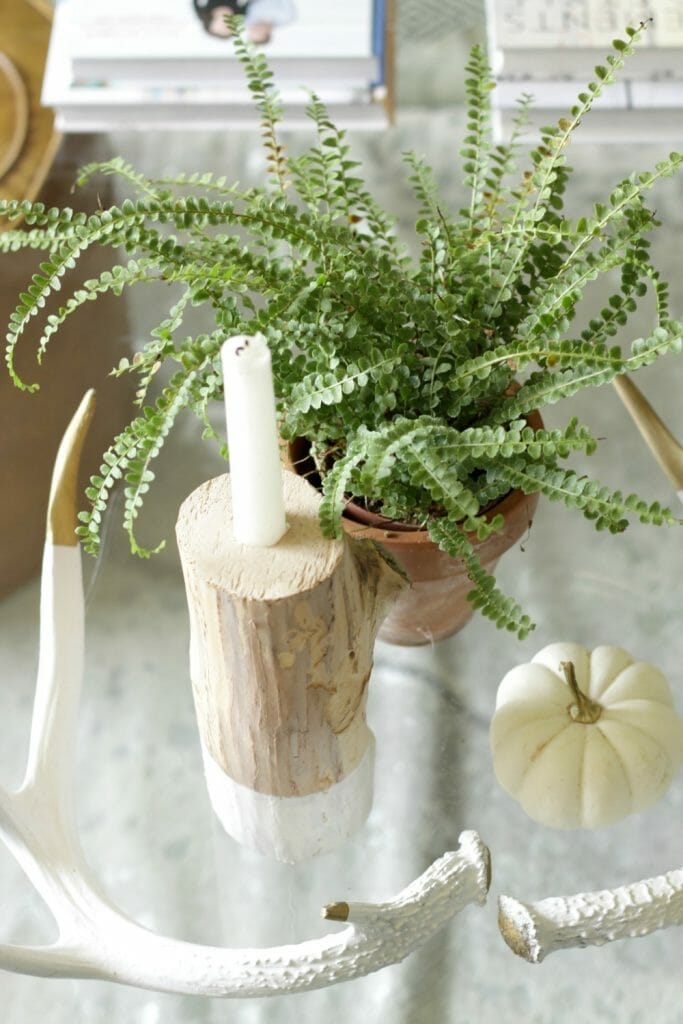 fall-coffee-table-styling-in-white-and-gold-natural
