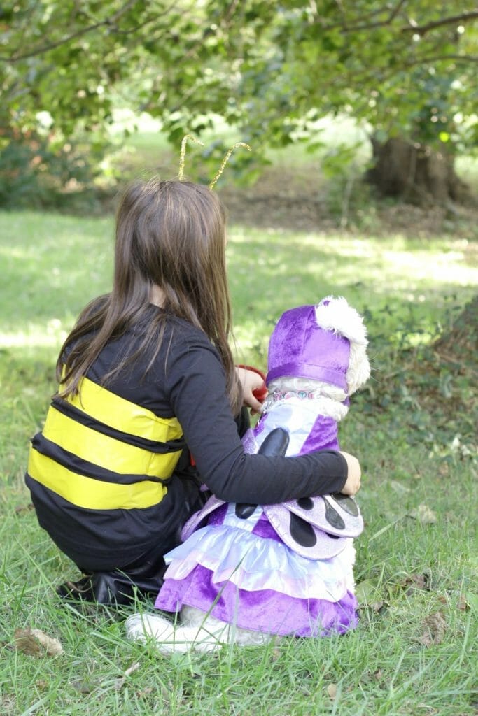 Butterfly and Bee Costume Pair for Kid & Dog