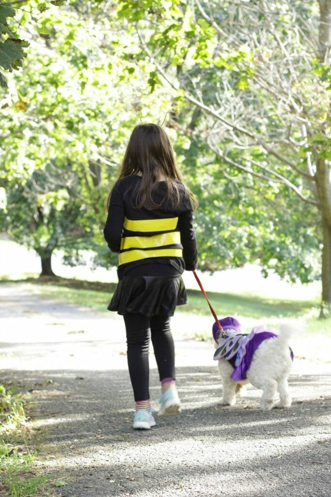 Child & Puppy costume pair- bee & butterfly