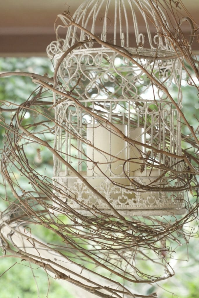 Birdcage wrapped in grapevine wreath