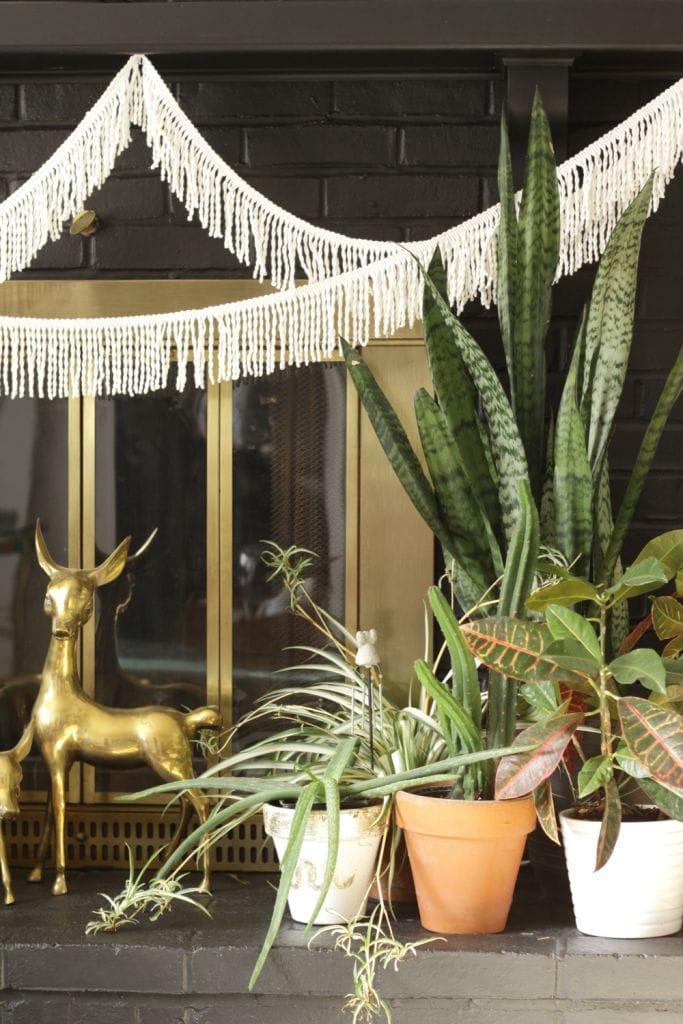 Plant Lovers Boho Winter Mantle- hearth Styling