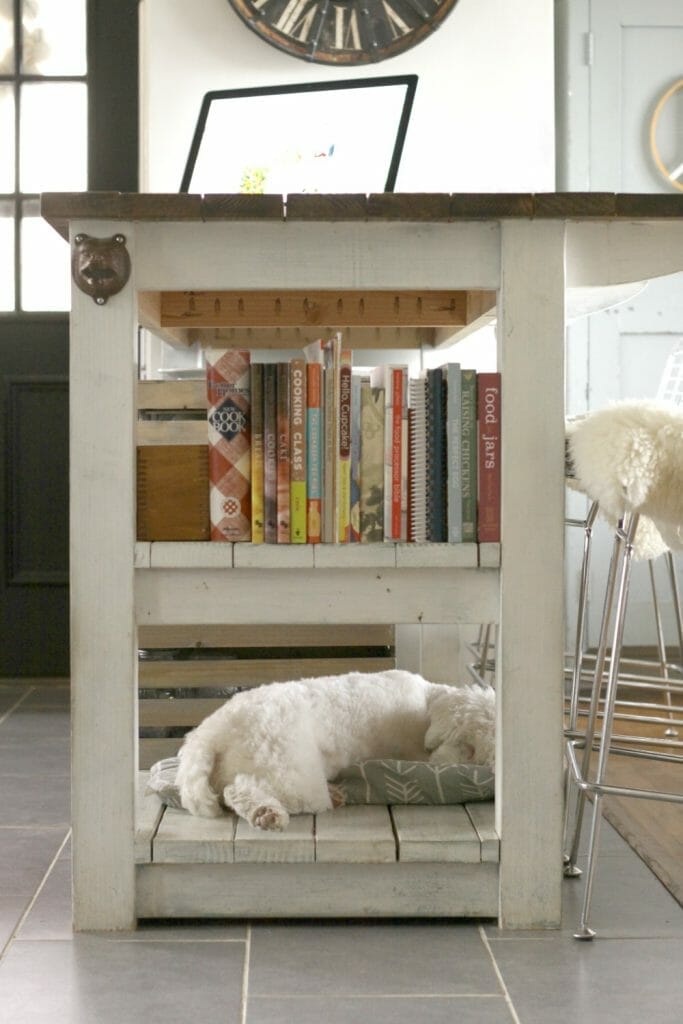 Snowbvall on the island; dog bed on kitchen island