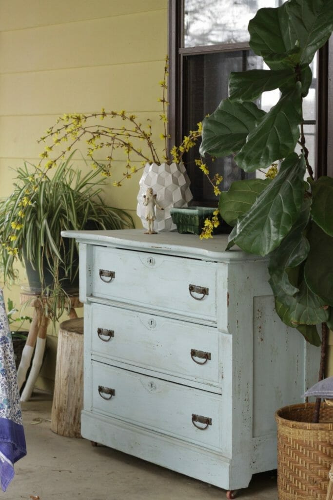Bohemian Vintage Porch Decor- Plants and dresser