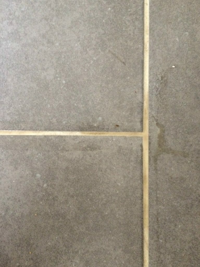 Dirty Water in Grout