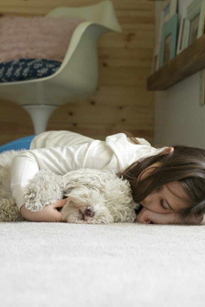 PetProof Carpeting- perfect for families with animals