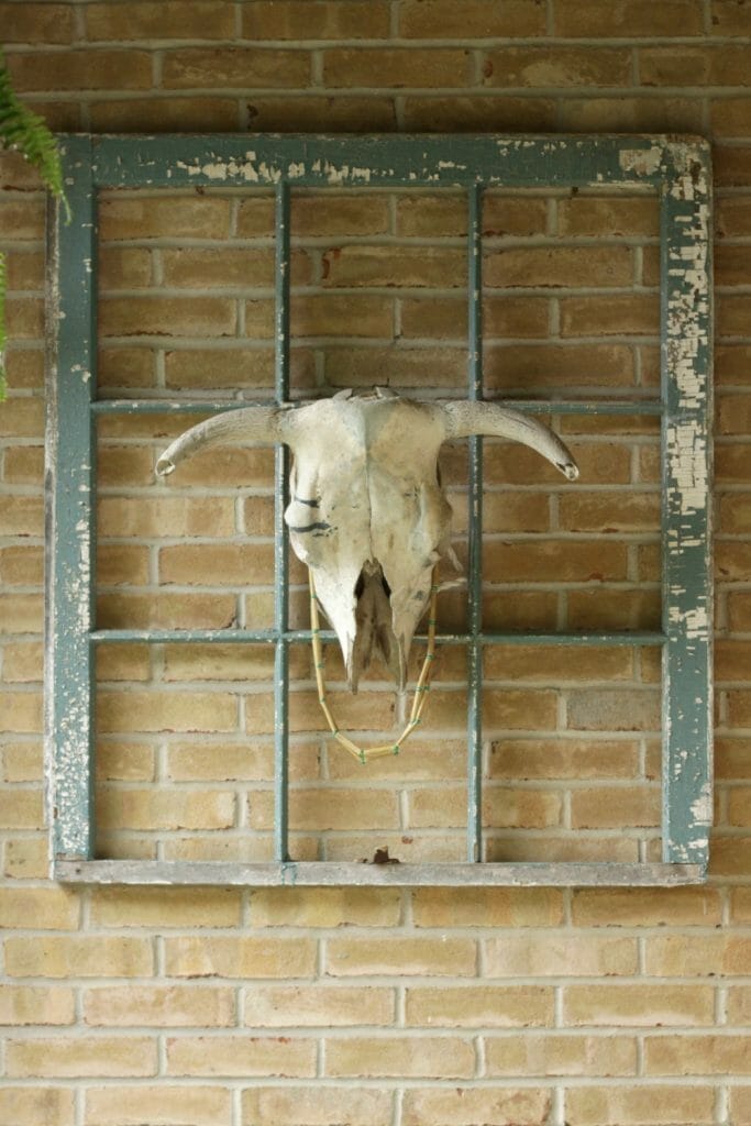 Vintage Window Frame and Bull Skull on Porch
