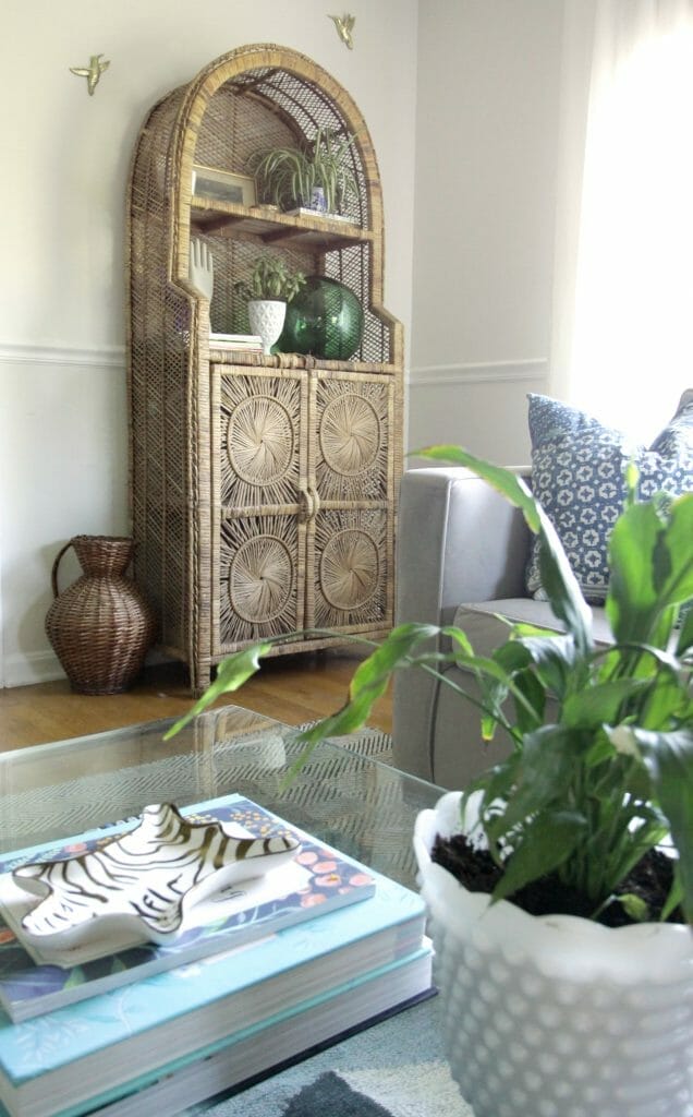 Thrifted Wicker Cabinet
