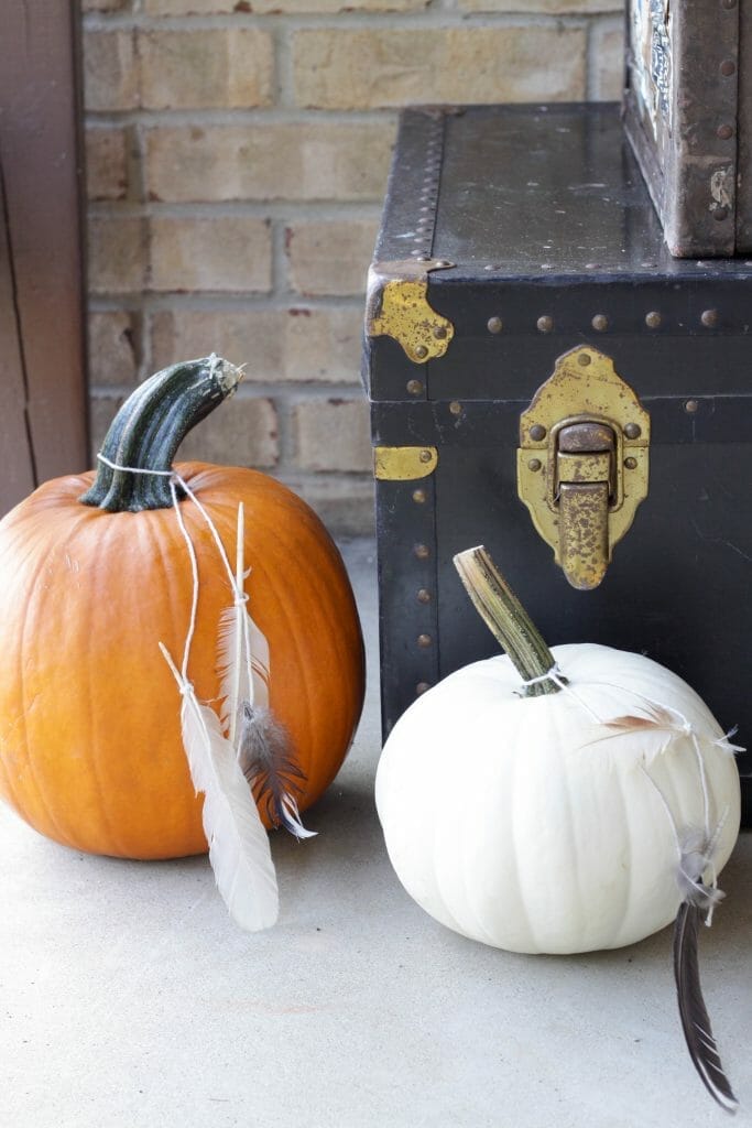 Feathers tied on pumpkins