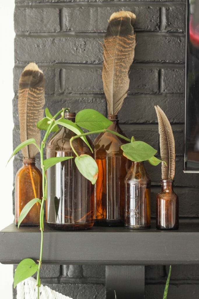 Amber bottles with propagating plants and feathers for fall