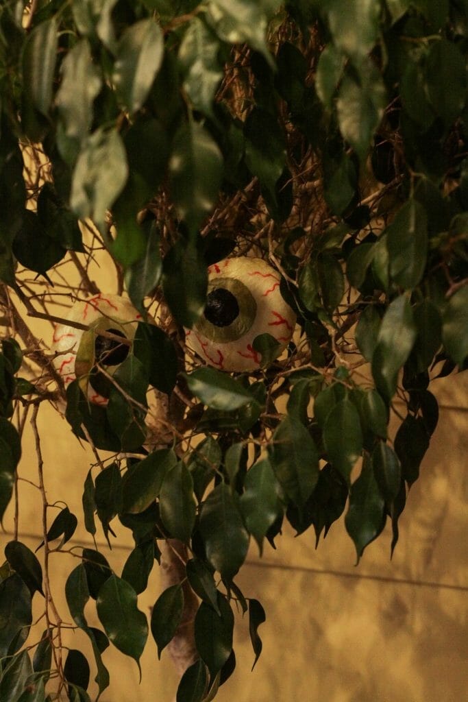 Eyeballs in Tree for Halloween