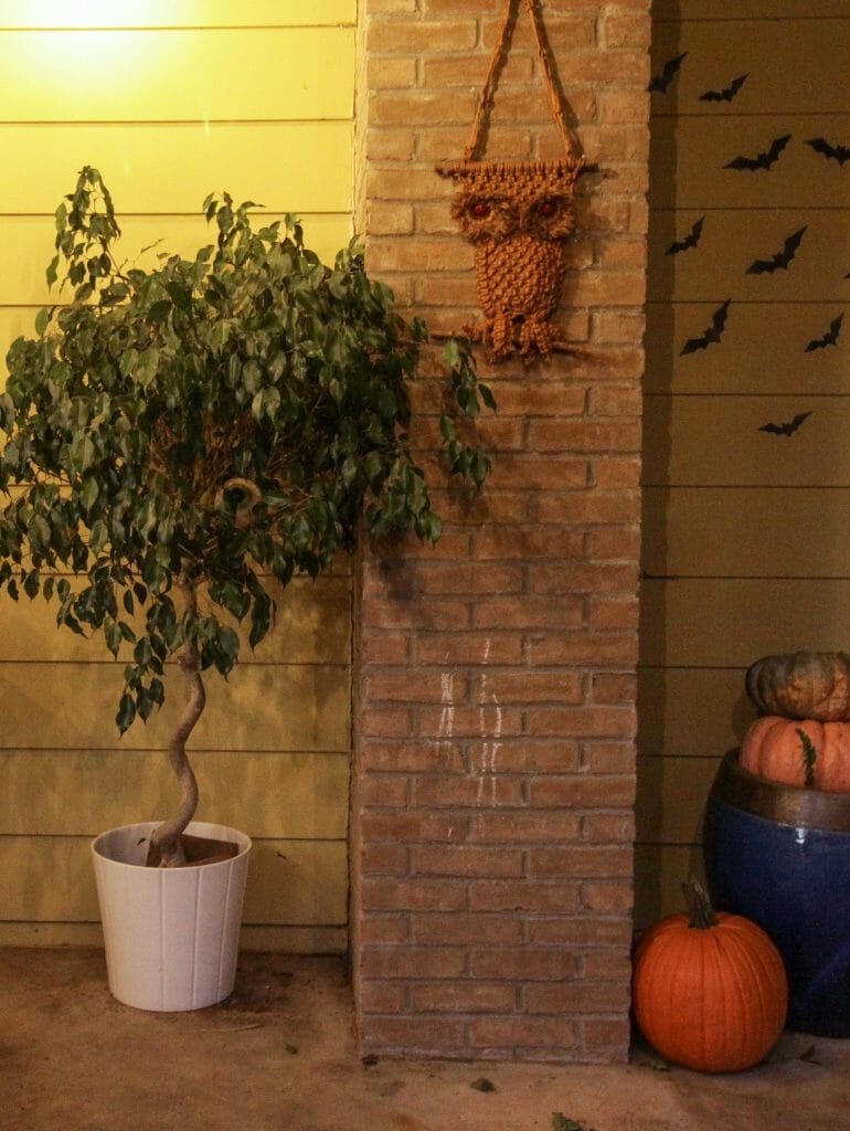 Halloween Porch with Tree with eyes