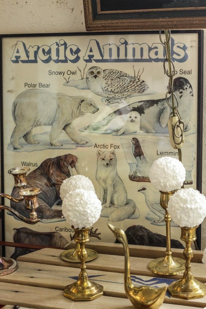 Vintage Arctic animals poster