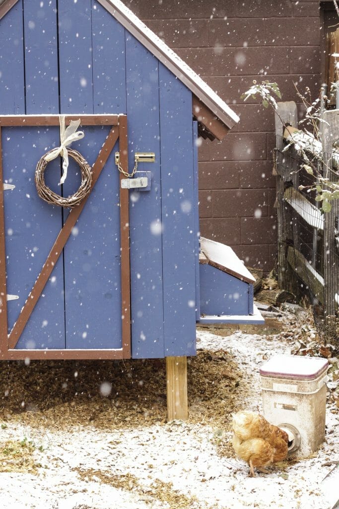Snowy Blue Christmas Chicken Coop