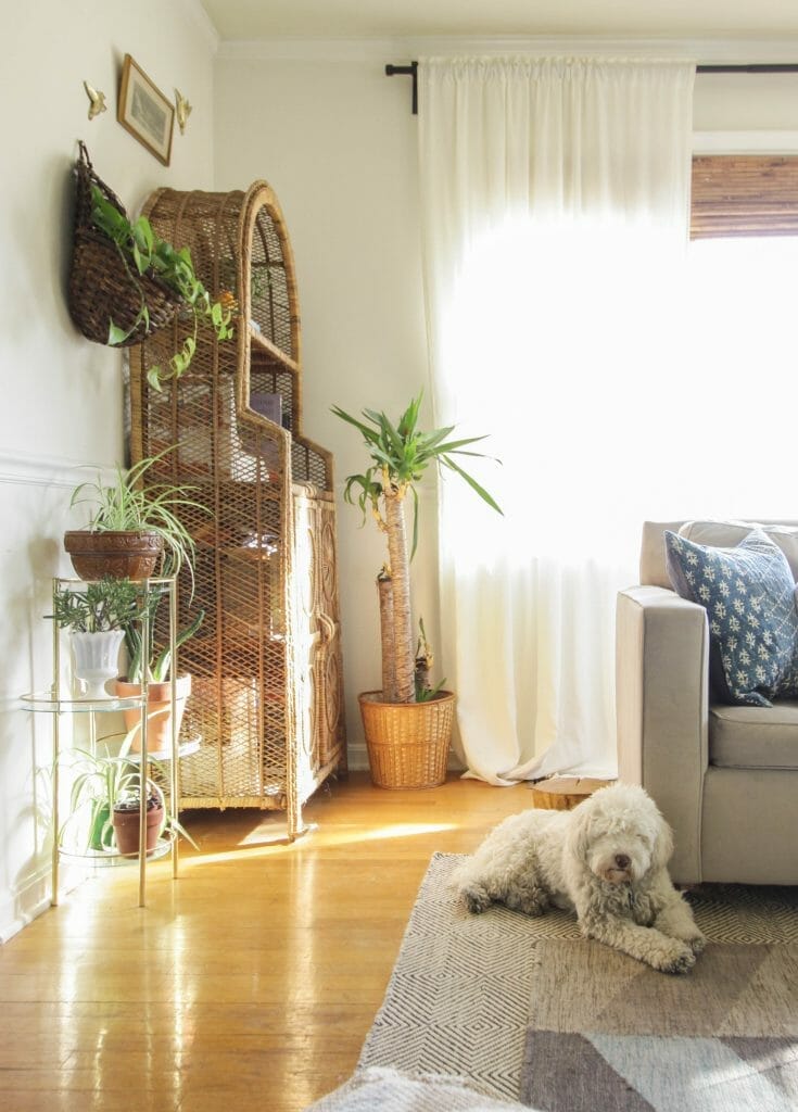Vintage wicker shelf and plant corner in living room
