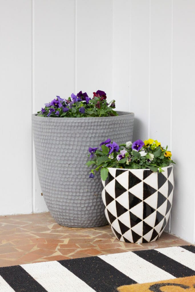 modern porch planters with pansies