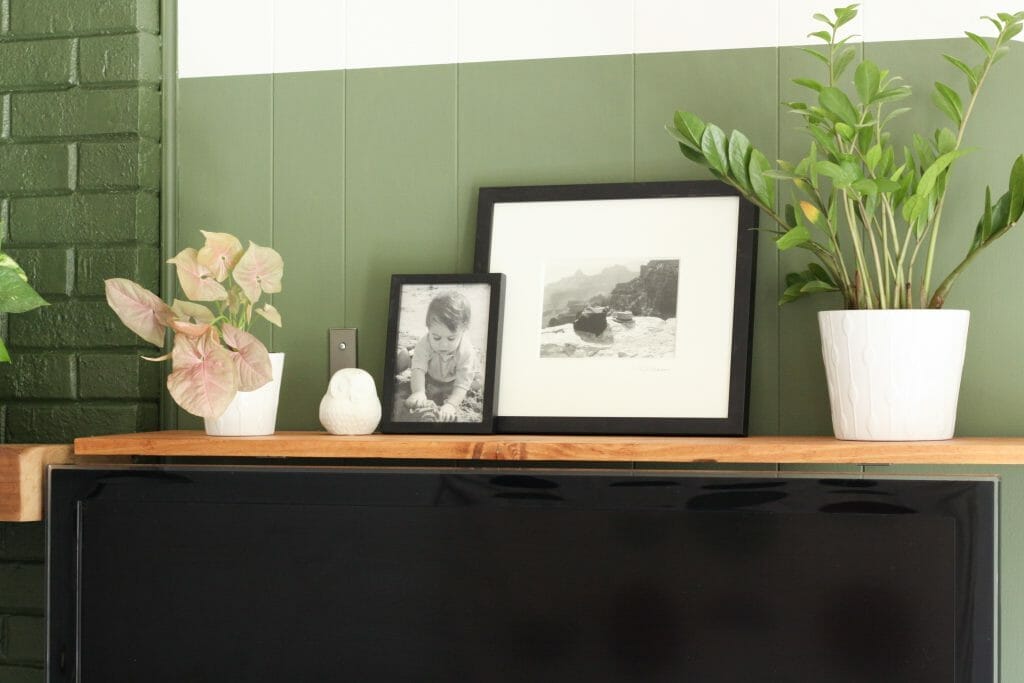modern boho shelf styling with plants