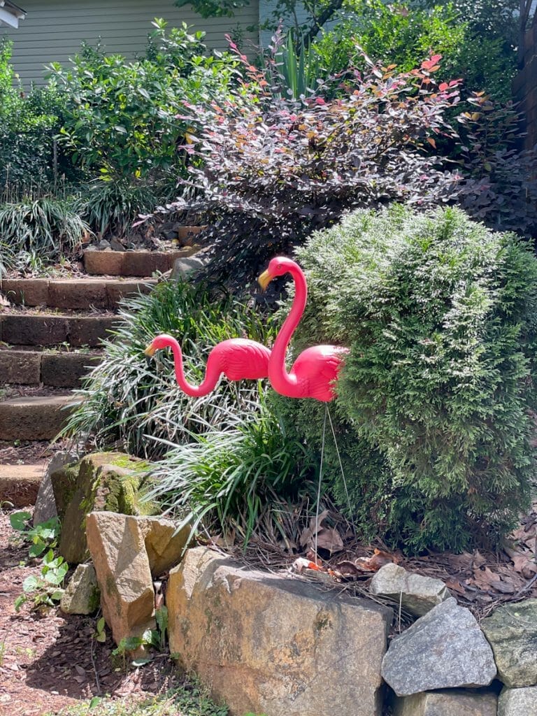 vintage pink yard flamingos